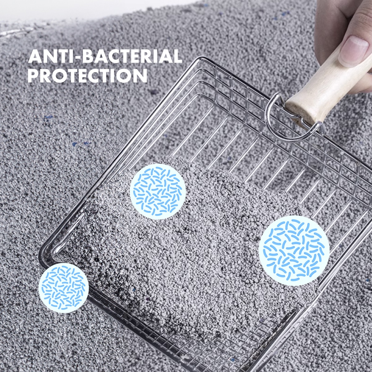 Anti-bacterial protection